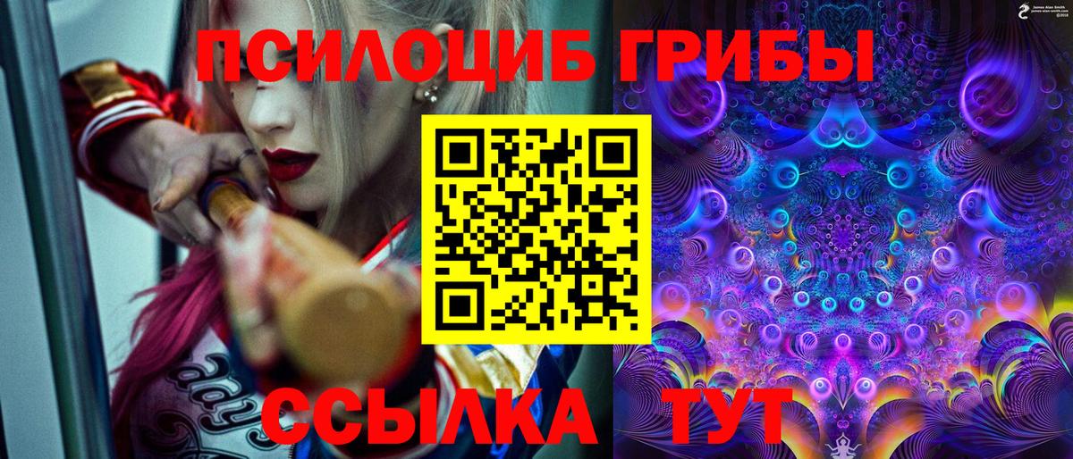 Псилоцибиновые грибы MAGIC MUSHROOMS Тихорецк