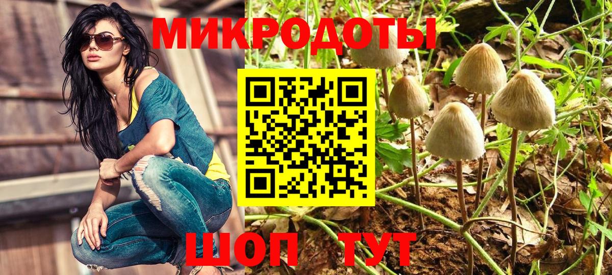Псилоцибиновые грибы прущие грибы  Вход с VPN  Тихорецк 